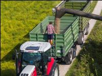 Roggen Ernte 76