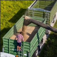 Roggen Ernte 74