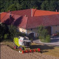Weizen Ernte 245