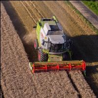 Weizen Ernte 244