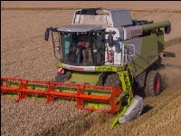 Weizen Ernte 240