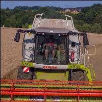 Weizen Ernte 238