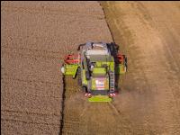 Weizen Ernte 235