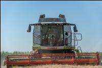 Weizen Ernte 212