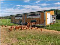 Mobiler Hennenstall 14