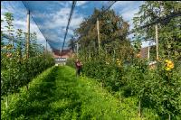 Bioapfelhof 2
