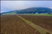 Agroforst anlegen 22