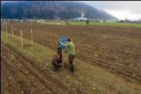 Agroforst anlegen 19