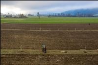 Agroforst anlegen 18