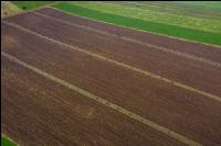 Agroforst anlegen 17
