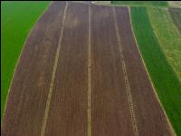 Agroforst anlegen 16