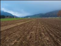 Agroforst anlegen 9