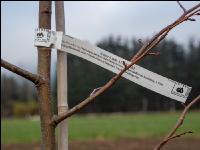 Agroforst anlegen 8