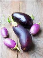 Aubergine 4