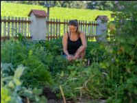 Gartenarbeit 20