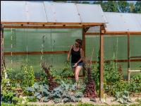Gartenarbeit 10