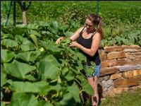 Gartenarbeit 9