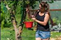 Gartenarbeit 8