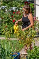 Gartenarbeit 4