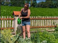 Gartenarbeit 3