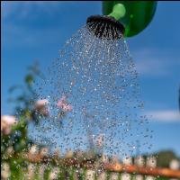 Gartenarbeit 2