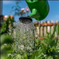 Gartenarbeit 1