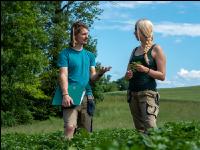 Potato leave development 39