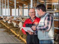 Consulting dairy farm 10