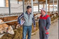 Consulting dairy farm 2