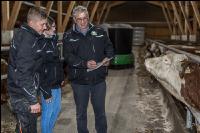 Operation data bulls fattening 13