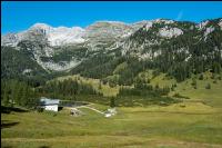 Alpine Region 11