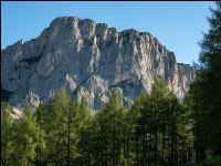 Alpine Region 10