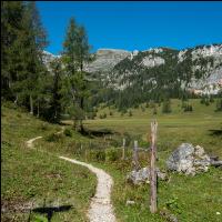 Alpine Region 9
