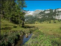 Alpine Region 8