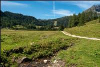 Alpine Region 7