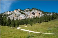 Alpine Region 6