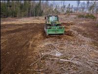Forstmulcher 17