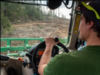 Forstmulcher 4