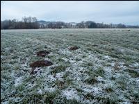 Wiese am Neujahrstag 9