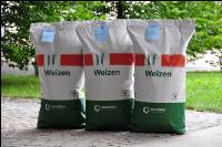 Weizen Saatgut 4