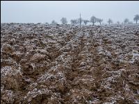 Schwarzbrache Frost 5