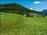 Gülle auf Dauerwiese 19