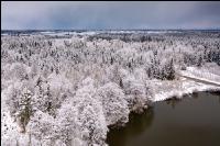 Winter Wonderland 28