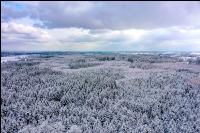Winter Wonderland 17