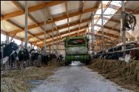 Totalmischration Holstein 14
