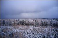 Winter Wonderland 34