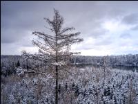 Winter Wonderland 31