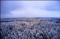 Winter Wonderland 30
