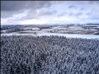 Winter Wonderland 29