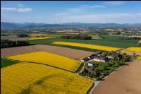 Rapsblüte im Voralpenland 16